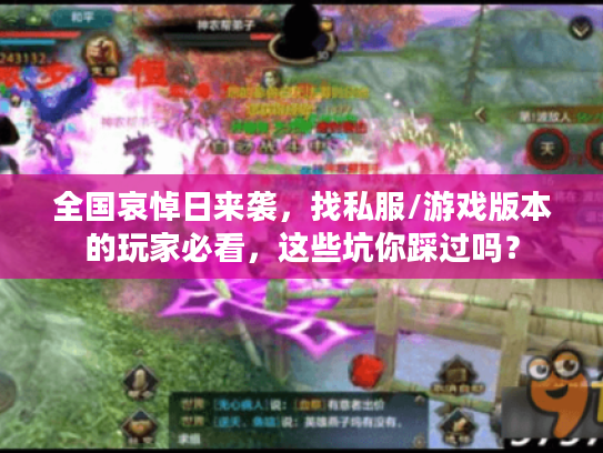 全国哀悼日来袭,找私服/游戏版本的玩家必看,这些坑你踩过吗? 全国哀悼日来袭,找私服/游戏版本的玩家必看,这些坑你踩过吗?