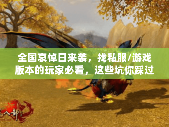 全国哀悼日来袭,找私服/游戏版本的玩家必看,这些坑你踩过吗? 全国哀悼日来袭,找私服/游戏版本的玩家必看,这些坑你踩过吗?