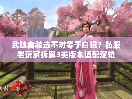 武魂套装选不对等于白玩？私服老玩家拆解3类版本适配逻辑