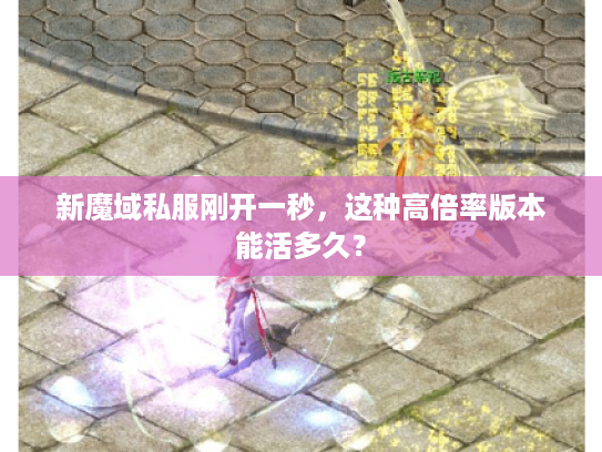 新魔域私服刚开一秒，这种高倍率版本能活多久？