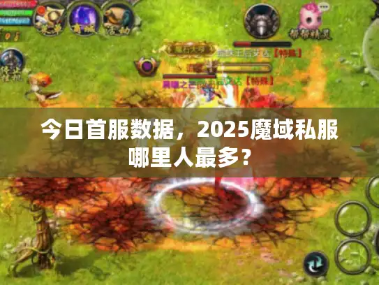 今日首服数据，2025魔域私服哪里人最多？