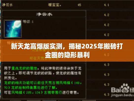 新天龙高爆版实测，揭秘2025年搬砖打金圈的隐形暴利