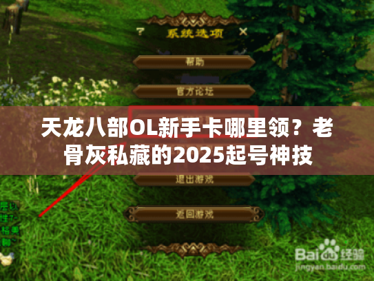 天龙八部OL新手卡哪里领？老骨灰私藏的2025起号神技