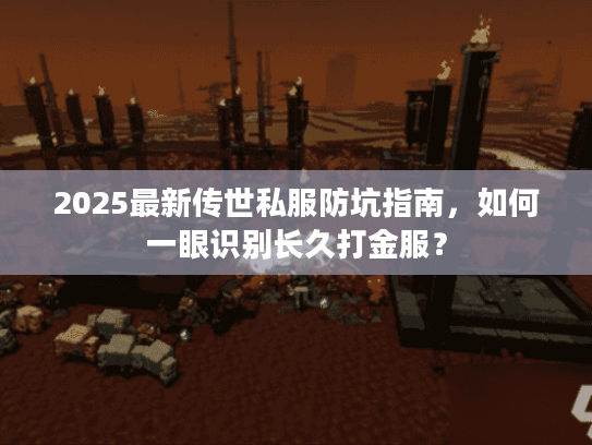 2025最新传世私服防坑指南，如何一眼识别长久打金服？
