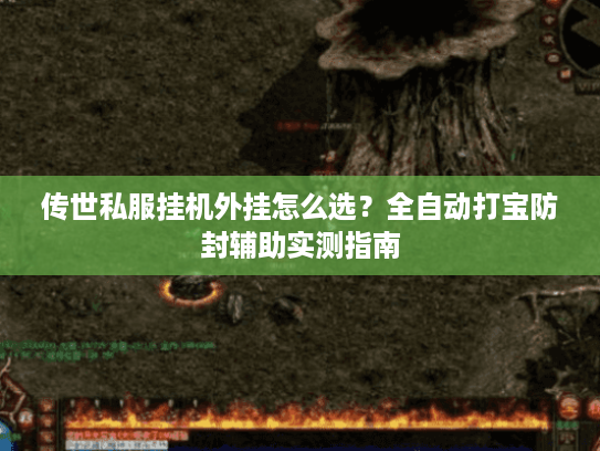 传世私服挂机外挂怎么选？全自动打宝防封辅助实测指南