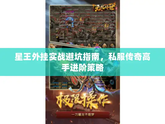 星王外挂实战避坑指南，私服传奇高手进阶策略