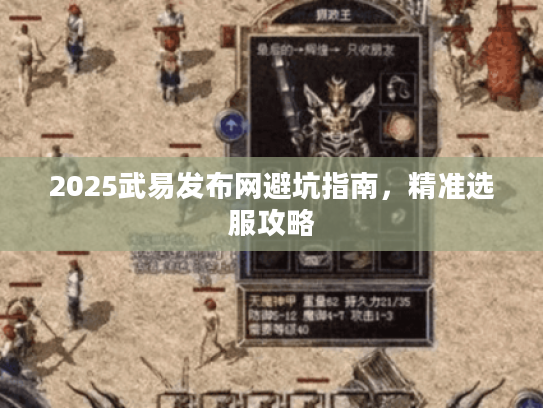 2025武易发布网避坑指南，精准选服攻略
