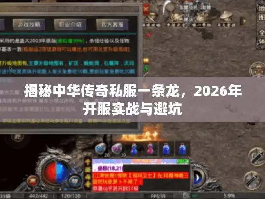 揭秘中华传奇私服一条龙，2026年开服实战与避坑