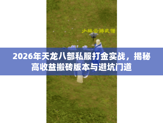 2026年天龙八部私服打金实战，揭秘高收益搬砖版本与避坑门道