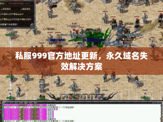 私服999官方地址更新，永久域名失效解决方案