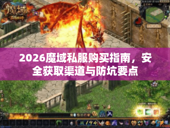 2026魔域私服购买指南，安全获取渠道与防坑要点