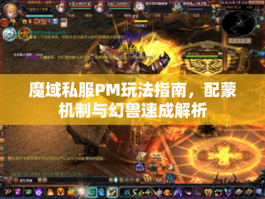 魔域私服PM玩法指南，配蒙机制与幻兽速成解析