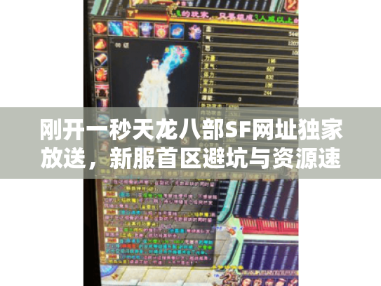 刚开一秒天龙八部SF网址独家放送，新服首区避坑与资源速刷攻略