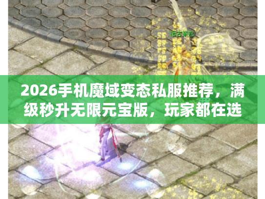 2026手机魔域变态私服推荐，满级秒升无限元宝版，玩家都在选