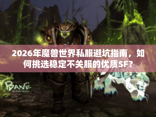 2026年魔兽世界私服避坑指南，如何挑选稳定不关服的优质SF？