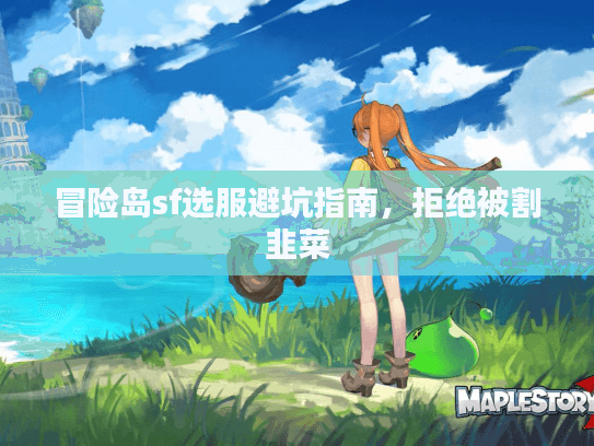 冒险岛sf选服避坑指南，拒绝被割韭菜
