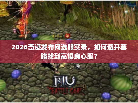 2026奇迹发布网选服实录,如何避开套路找到高爆良心服? 2026奇迹发布网选服实录,如何避开套路找到高爆良心服?