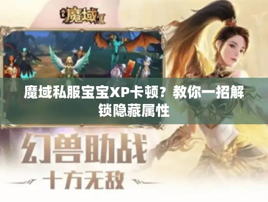 魔域私服宝宝XP卡顿？教你一招解锁隐藏属性