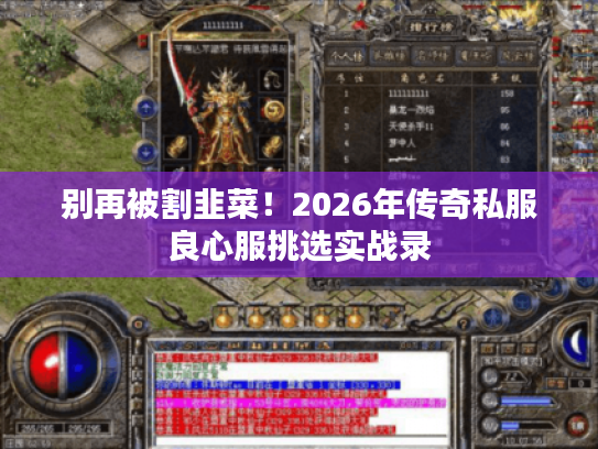 别再被割韭菜！2026年传奇私服良心服挑选实战录