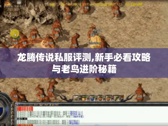 龙腾传说私服评测,新手必看攻略与老鸟进阶秘籍 龙腾传说私服评测,新手必看攻略与老鸟进阶秘籍