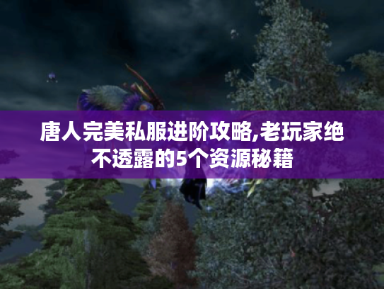 唐人完美私服进阶攻略,老玩家绝不透露的5个资源秘籍