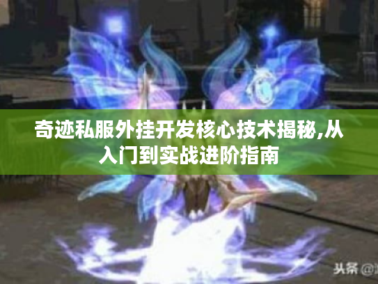 奇迹私服外挂开发核心技术揭秘,从入门到实战进阶指南