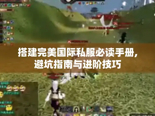 搭建完美国际私服必读手册,避坑指南与进阶技巧 搭建完美国际私服必读手册,避坑指南与进阶技巧