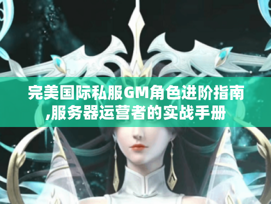 完美国际私服GM角色进阶指南,服务器运营者的实战手册