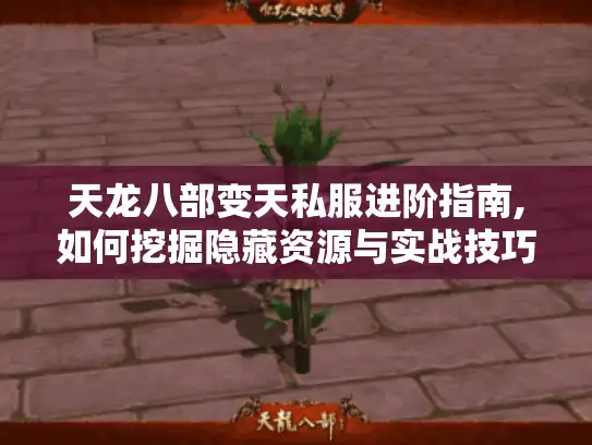 天龙八部变天私服进阶指南,如何挖掘隐藏资源与实战技巧 天龙八部变天私服进阶指南,如何挖掘隐藏资源与实战技巧