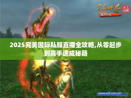 2025完美国际私服直播全攻略,从零起步到高手速成秘籍