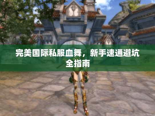 完美国际私服血舞,新手速通避坑全指南 完美国际私服血舞,新手速通避坑全指南
