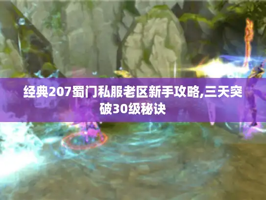 经典207蜀门私服老区新手攻略,三天突破30级秘诀