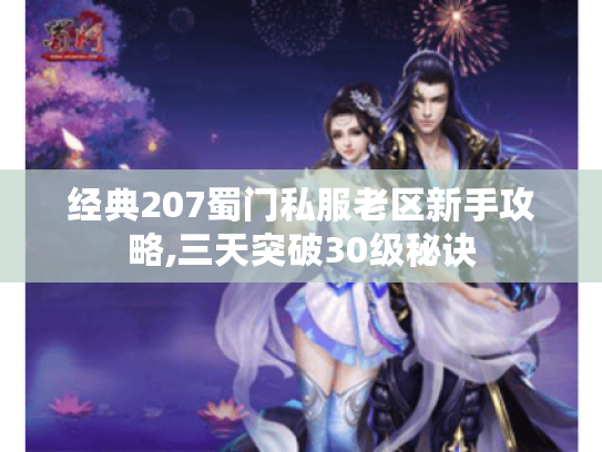 经典207蜀门私服老区新手攻略,三天突破30级秘诀