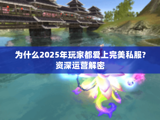 为什么2025年玩家都爱上完美私服?资深运营解密