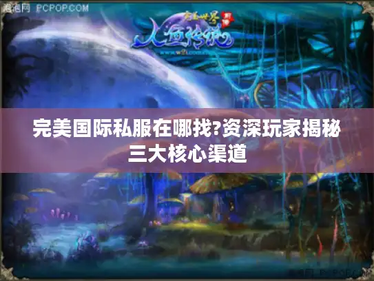 完美国际私服在哪找?资深玩家揭秘三大核心渠道 完美国际私服在哪找?资深玩家揭秘三大核心渠道