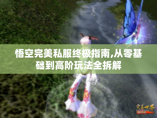 悟空完美私服终极指南,从零基础到高阶玩法全拆解