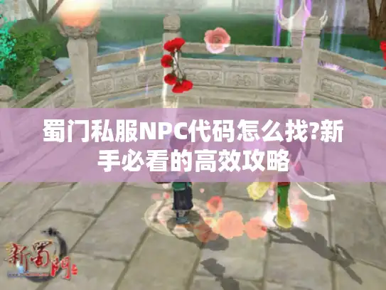 蜀门私服NPC代码怎么找?新手必看的高效攻略