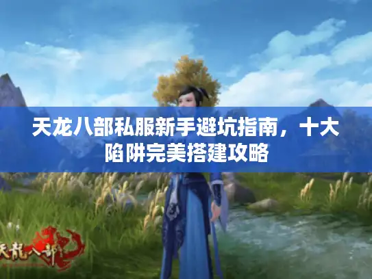 天龙八部私服新手避坑指南，十大陷阱完美搭建攻略