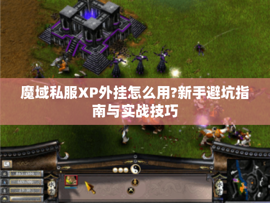 魔域私服XP外挂怎么用?新手避坑指南与实战技巧