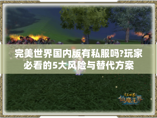 完美世界国内版有私服吗?玩家必看的5大风险与替代方案