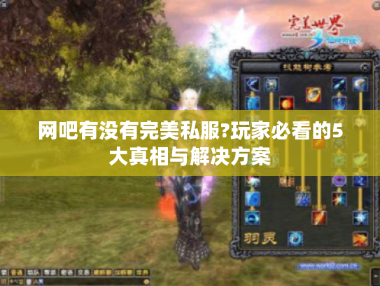 网吧有没有完美私服?玩家必看的5大真相与解决方案