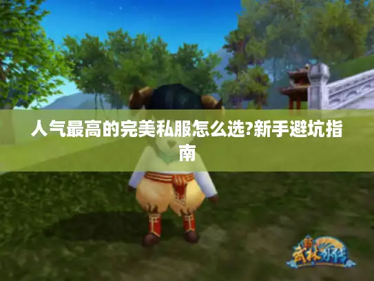 人气最高的完美私服怎么选?新手避坑指南