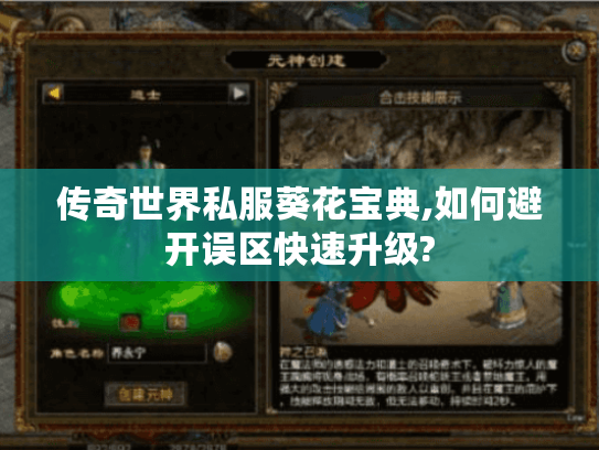 传奇世界私服葵花宝典,如何避开误区快速升级?