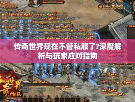 传奇世界现在不管私服了?深度解析与玩家应对指南