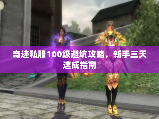 奇迹私服100级避坑攻略，新手三天速成指南