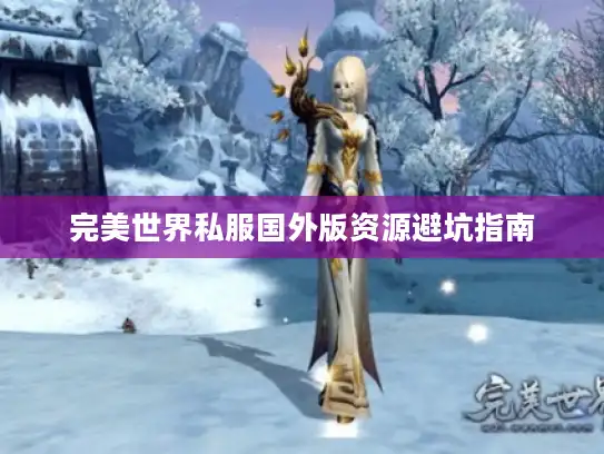 完美世界私服国外版资源避坑指南