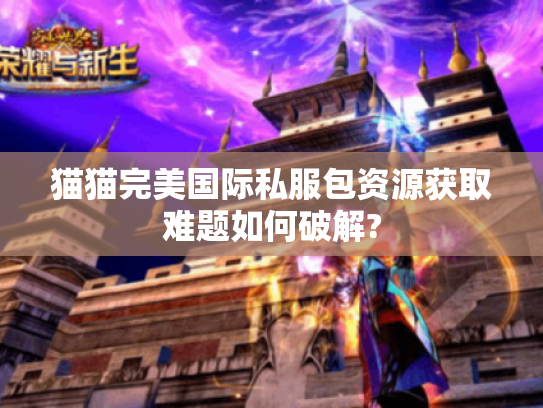 猫猫完美国际私服包资源获取难题如何破解?