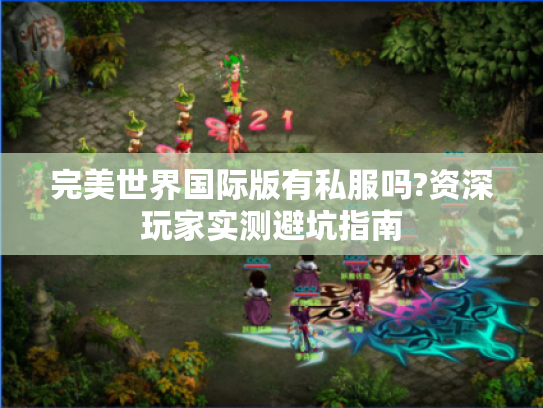 完美世界国际版有私服吗?资深玩家实测避坑指南