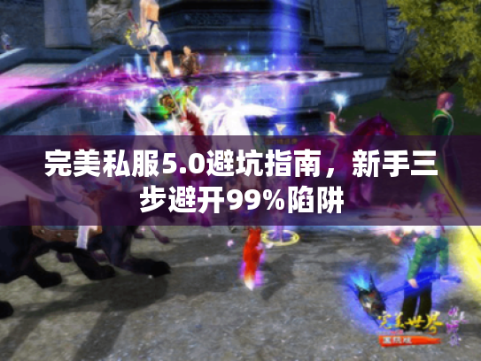 完美私服5.0避坑指南，新手三步避开99%陷阱