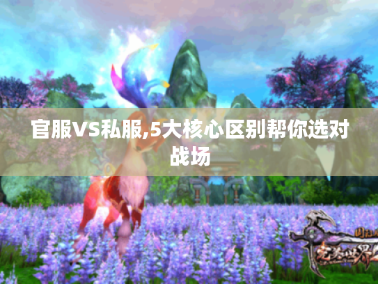 官服VS私服,5大核心区别帮你选对战场